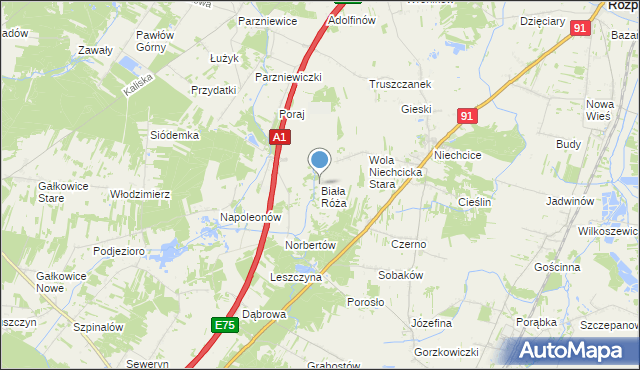 mapa Biała Róża, Biała Róża gmina Rozprza na mapie Targeo